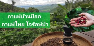 แปลงใหญ่กาแฟบ้านป๊อก จ.เชียงใหม่ กาแฟไทย ใจรักษ์ป่า นำนวัตกรรม ยกระดับผลิตภัณฑ์ ตอบโจทย์ BCG Model