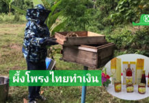 แปลงใหญ่ผึ้งโพรงไทยตำบลแก้วแสน อ.นาบอน จ.นครศรีธรรมราช สร้างมูลค่าผลผลิตจากการเลี้ยงผึ้ง สู่รายได้ปีละ 178,440 บาท