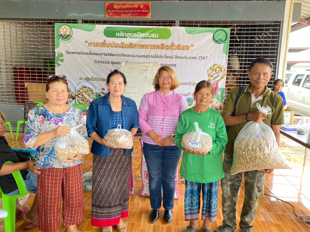 กรมวิชาการเกษตร รุด ถ่ายทอดเทคโนโลยียกระดับการผลิตถั่วลิสงฤดูฝน