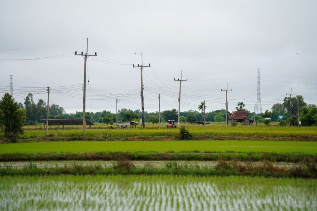 PEA ขยายเขตไฟฟ้าให้พื้นที่ทำกินทางการเกษตร ระยะที่ 2 ในพื้นที่จังหวัดพิจิตร