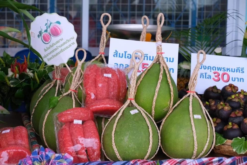 “กรมส่งเสริมสหกรณ์ ยกสหกรณ์การเกษตรพรหมคีรี จำกัด เป็นต้นแบบการดำเนินธุรกิจครบวงจร พร้อมขยายผลการดำเนินงานทั่วประเทศ“