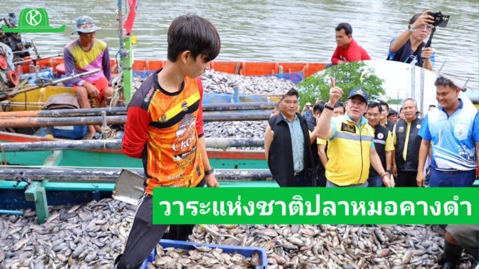 สมาคมประมงฯ เสนอปลาหมอคางดำเป็นวาระแห่งชาติ-นำร่องรับซื้อ 1 ส.ค. นี้