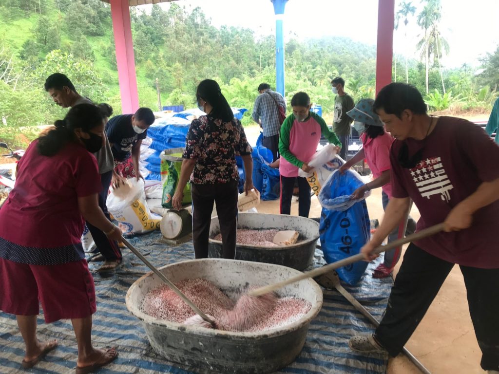 ชุมพร ยกระดับเกษตรแปลงใหญ่ ต่อยอดเป็นผู้ผลิตสินค้ามาตรฐานส่งออก