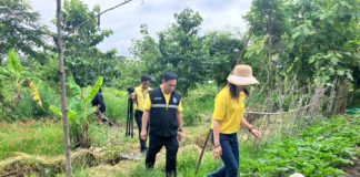 เผย “โครงการฟาร์มตัวอย่างตามพระราชดำริฯ บ้านกำพี้” เกษตรกรพึงพอใจมากที่สุด เพิ่มรายได้ครัวเรือน