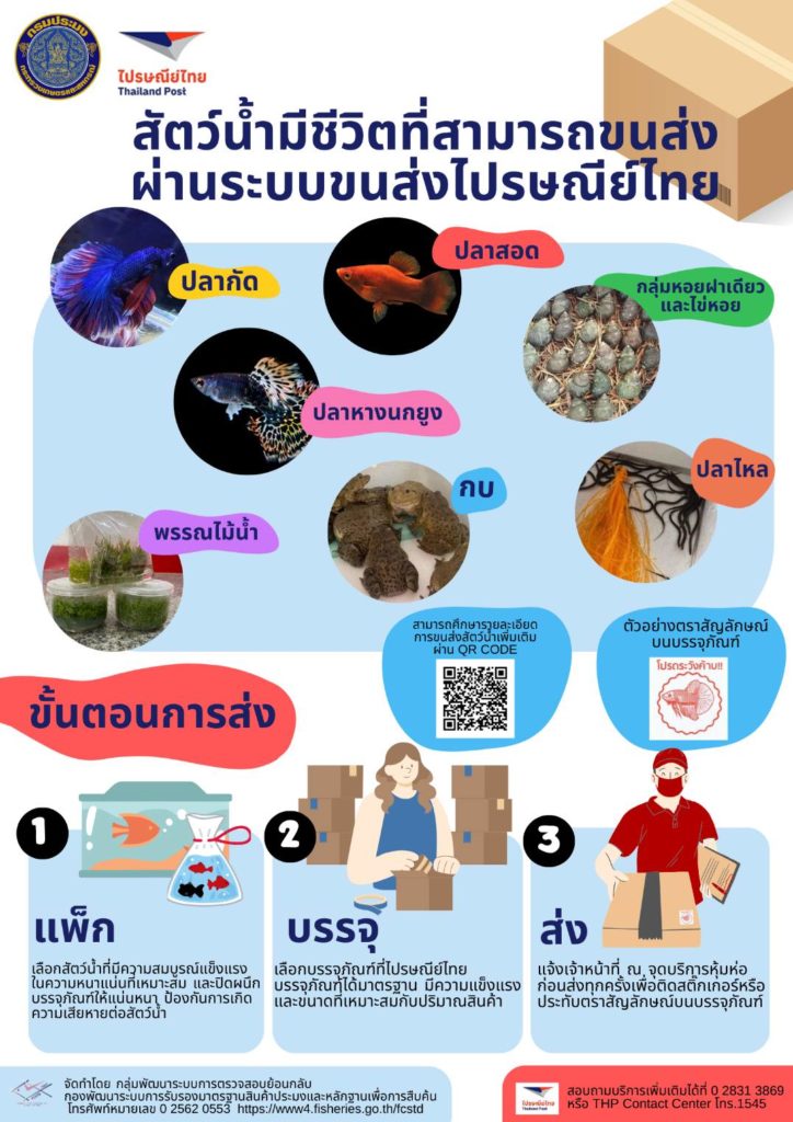 “กรมประมง-ไปรษณีย์ไทย” ให้บริการขนส่งปลาสวยงามและสัตว์น้ำมีชีวิต 327 สาขาทั่วประเทศ