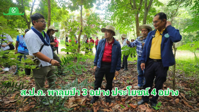 ส.ป.ก. พาชมวิถีชุมชนบ้านเขาใหญ่ จ.ชลบุรี พร้อมลุย “ป่า 3 อย่าง ประโยชน์ 4 อย่าง”