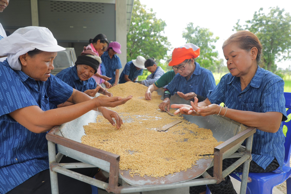 กรมการข้าว นำสื่อมวลชนทัวร์ 4 ศูนย์ข้าวชุมชนต้นแบบ ศูนย์กลางพัฒนาองค์กรชาวนาสุดเจ๋ง!!