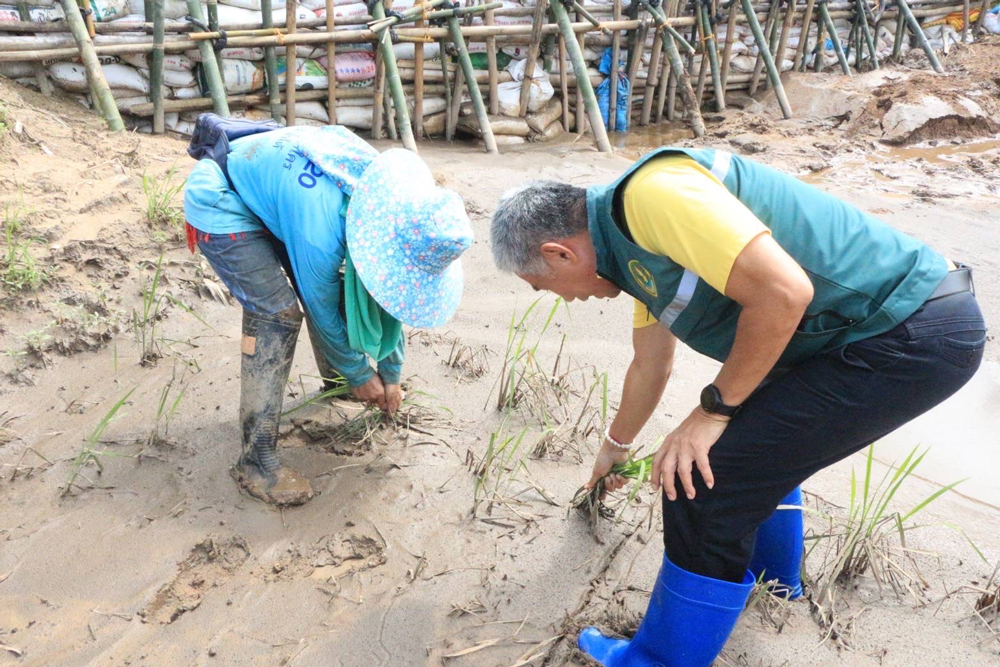 กรมส่งเสริมการเกษตรห่วงใยเกษตรกรในพื้นที่ประสบภัย หลังน้ำลดสั่งการให้เจ้าหน้าที่ลงพื้นที่ประสานความช่วยเหลือ พร้อมเร่งดำเนินการสำรวจพื้นที่ประสบภัยให้แล้วเสร็จโดยเร็ว