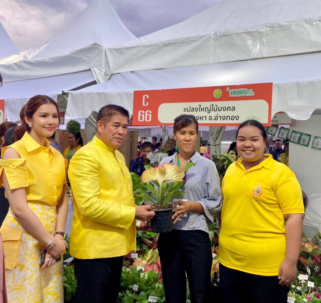 เกษตรกร อ.แสวงหา รวมกลุ่มเป็นแปลงใหญ่ ปลูกไม้มงคล สอดคล้องกับความต้องการของตลาด ส่งจำหน่ายทั้งในและต่างประเทศ