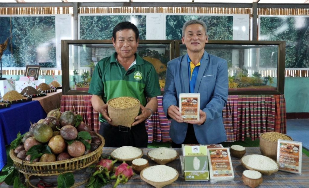 “กรมการข้าว” จับมือชุมชน “ข้าวไร่บ้านน้ำเย็น” หนุนใช้สายพันธุ์ข้าว - วิถีทำนาดั้งเดิม รับตลาดและผู้บริโภคสายยั่งยืน โชว์ “ซิวเกลี้ยง” ตัวท็อปแห่งข้าวเหนียวไทย GI จากเมืองเลย สุดยอดข้าวมากมูลค่าและอัตลักษณ์ข้าวพันธุ์แท้อีสาน