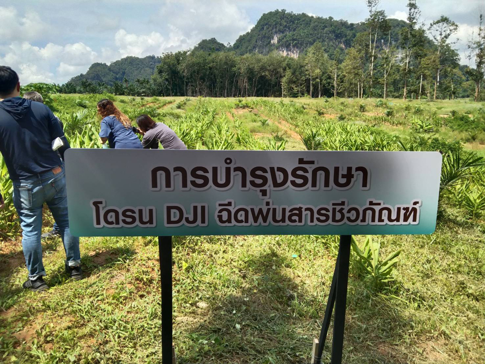 “สยามคูโบต้า” สร้างชุมชนเกษตรต้นแบบ “เขานาใน” ชูจุดเด่นขมิ้นชันสู่การพัฒนาอย่างยั่งยืน