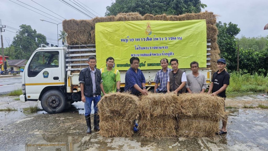 ”นฤมล“ สั่งด่วน ช่วยเกษตรกรผู้เลี้ยงสัตว์ประสบอุทกภัยภาคใต้