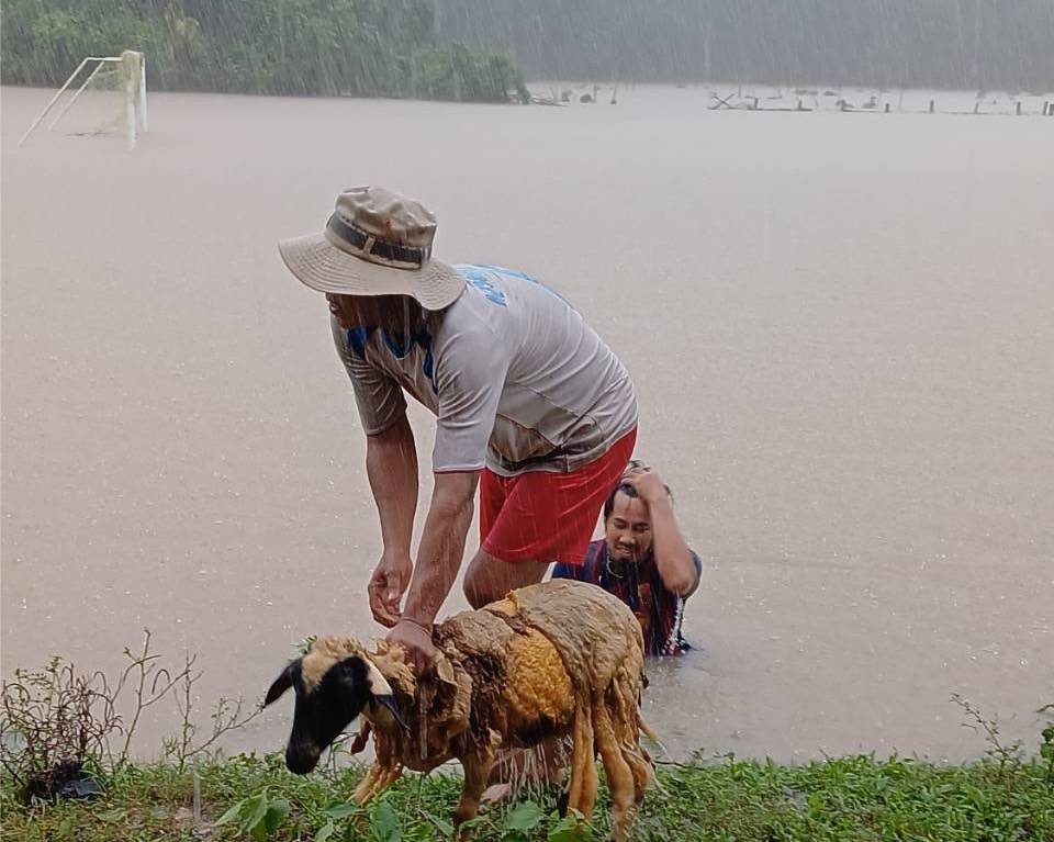 ”นฤมล“ สั่งด่วน ช่วยเกษตรกรผู้เลี้ยงสัตว์ประสบอุทกภัยภาคใต้