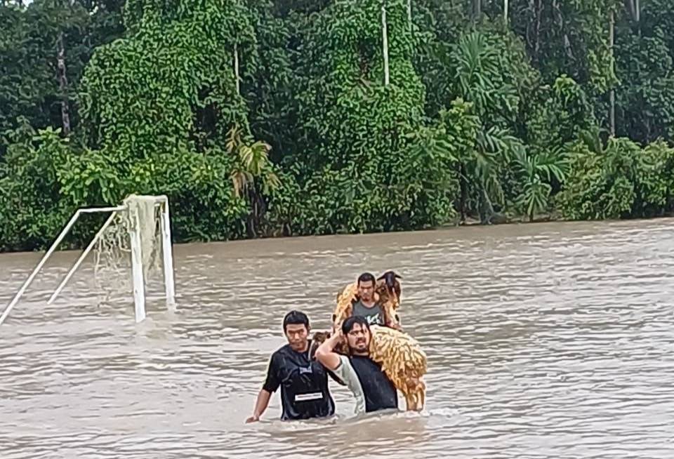 ”นฤมล“ สั่งด่วน ช่วยเกษตรกรผู้เลี้ยงสัตว์ประสบอุทกภัยภาคใต้