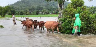 ”นฤมล“ สั่งด่วน ช่วยเกษตรกรผู้เลี้ยงสัตว์ประสบอุทกภัยภาคใต้