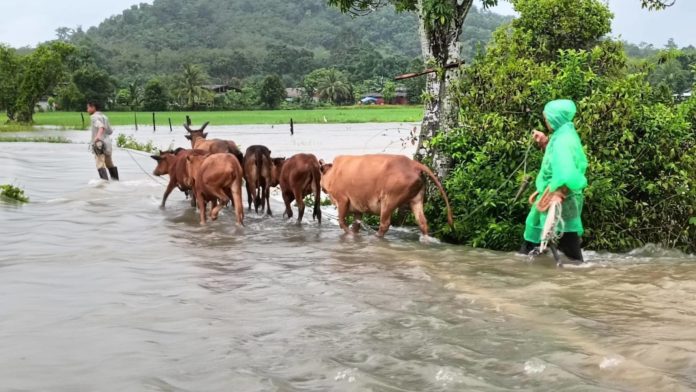 ”นฤมล“ สั่งด่วน ช่วยเกษตรกรผู้เลี้ยงสัตว์ประสบอุทกภัยภาคใต้