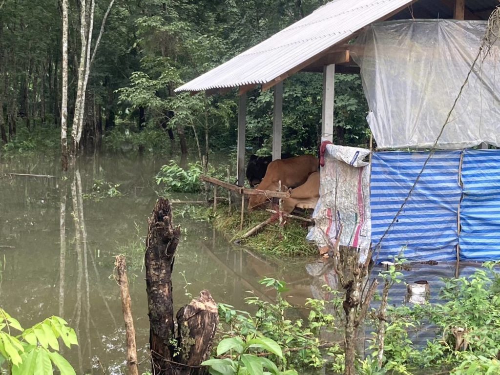 ”นฤมล“ สั่งด่วน ช่วยเกษตรกรผู้เลี้ยงสัตว์ประสบอุทกภัยภาคใต้