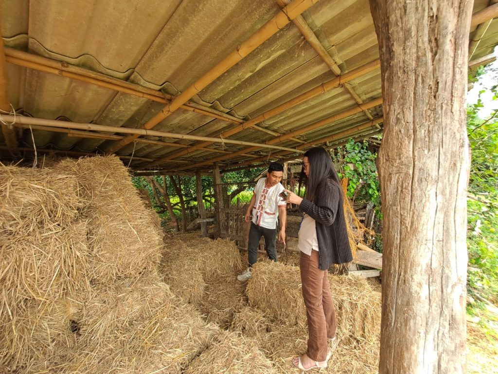 สศท.1 เผยแนวทางการเพิ่มมูลค่า ‘ฟางข้าว’ วัสดุเหลือใช้จากนาข้าว พื้นที่ 4 จังหวัดภาคเหนือ ขับเคลื่อนตามโมเดลเศรษฐกิจ BCG