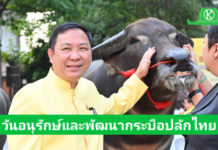 กรมปศุสัตว์จัดงานวันอนุรักษ์และพัฒนากระบือปลักไทย ประจำปี พ.ศ. 2568