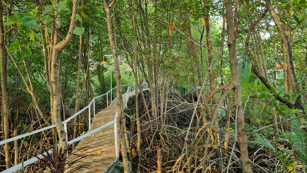 ไปทำข่าวสวนทุเรียนที่ตราด พักที่คันนา ป่าสน โฮมสเตย์