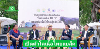 ที่สุดแห่งเนื้อไทย! “ไทยแบล็ค DLD” โคเนื้อพรีเมียม เปิดตัวอย่างเป็นทางการแล้ว!