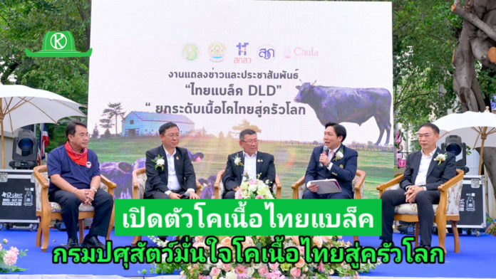 ที่สุดแห่งเนื้อไทย! “ไทยแบล็ค DLD” โคเนื้อพรีเมียม เปิดตัวอย่างเป็นทางการแล้ว!