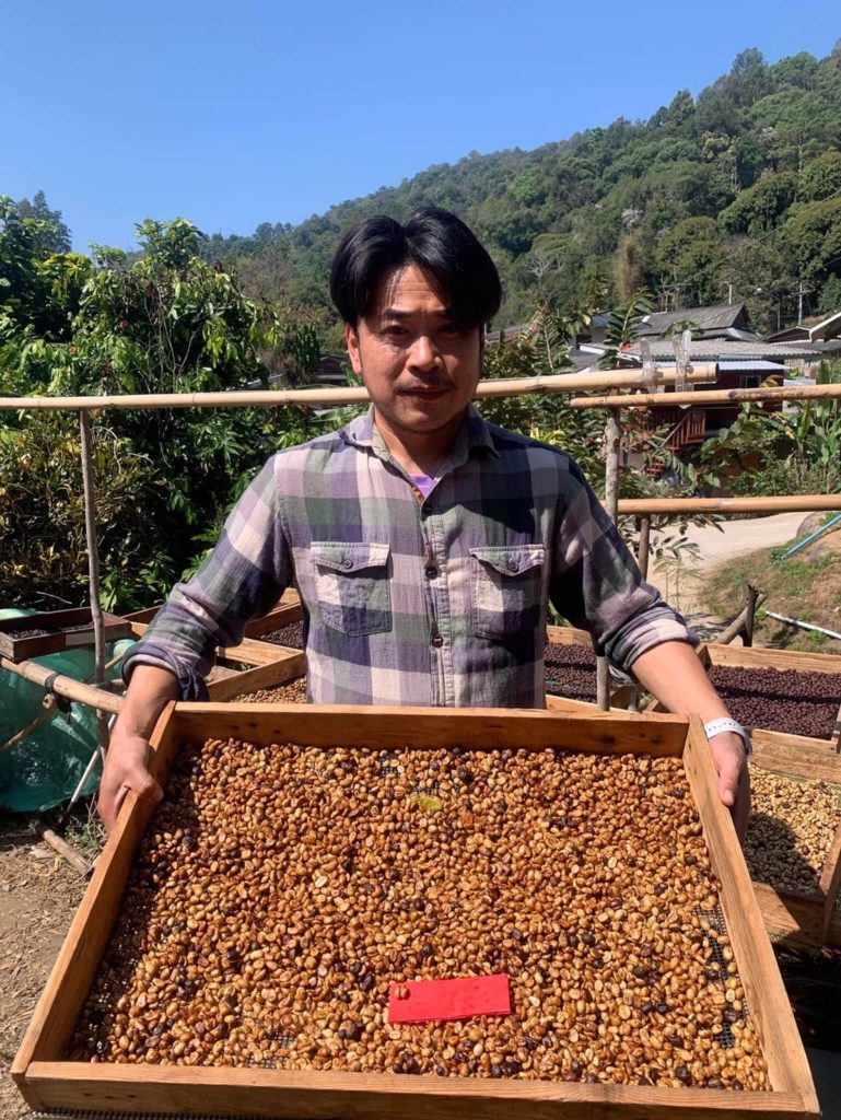 “ดอยปางบง” แบรนด์ดังกาแฟอินทรีย์ไทย อานิสงค์ “สหกรณ์ฯดอยสะเก็ดพัฒนาผนึกไจก้า”