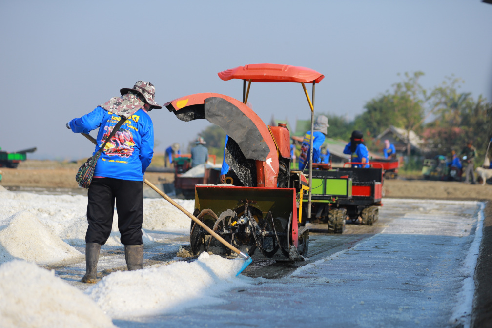 เกษตรฯ จัดพิธีทำขวัญนาเกลือ ปี 2568 เผยเดินหน้าส่งเสริมเส้นทางการท่องเที่ยวสายเกลือทะเลไทย