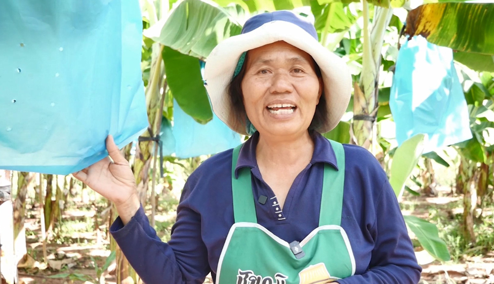 คุณวิไลวรรณ ผลวิลัย