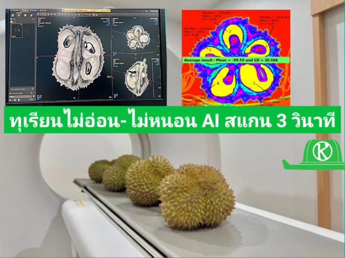 ARDA โชว์ความเป็นเจ้าแห่งบัลลังก์ราชาหนาม สร้างเครื่อง CT-Scan ทุเรียนสุดล้ำ ประมวลผลด้วยระบบ AI คัดทุเรียน “ไม่อ่อน-ไม่หนอน” 1 ลูกใช้เวลาสแกน 3 วินาที