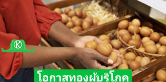 ไข่ไก่ราคาลดลงต่อเนื่องสวนทางต้นทุน โอกาสดีผู้บริโภค