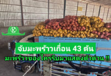 ฉก.พญานาคราช จับมะพร้าวเถื่อน 43 ตัน มูลค่า 2.4 ล้านบาท และอโวคาโด 8 ตัน มูลค่า 8 แสนบาท