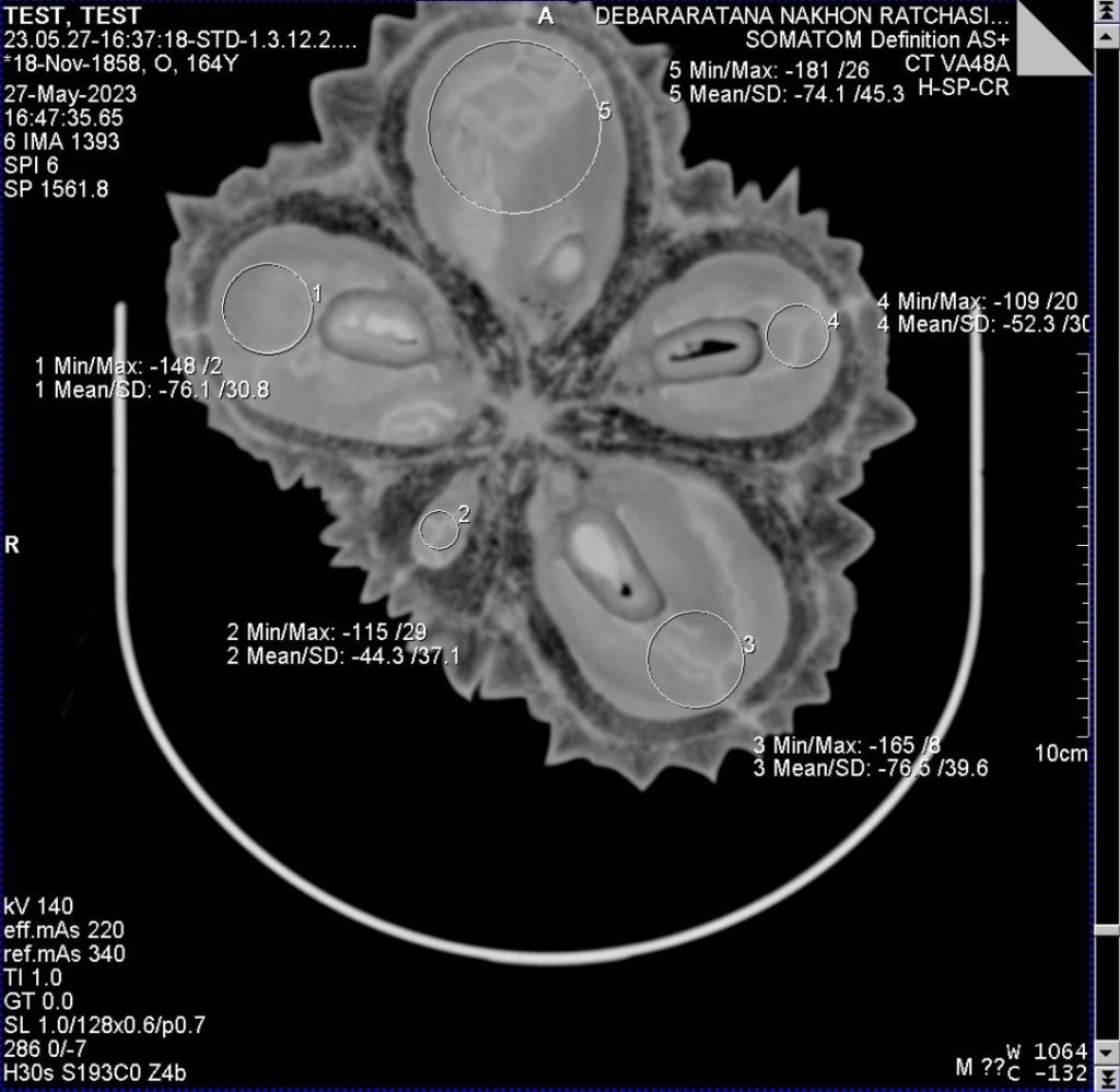 ARDA โชว์ความเป็นเจ้าแห่งบัลลังก์ราชาหนาม สร้างเครื่อง CT-Scan ทุเรียนสุดล้ำ ประมวลผลด้วยระบบ AI คัดทุเรียน “ไม่อ่อน-ไม่หนอน” 1 ลูกใช้เวลาสแกน 3 วินาที